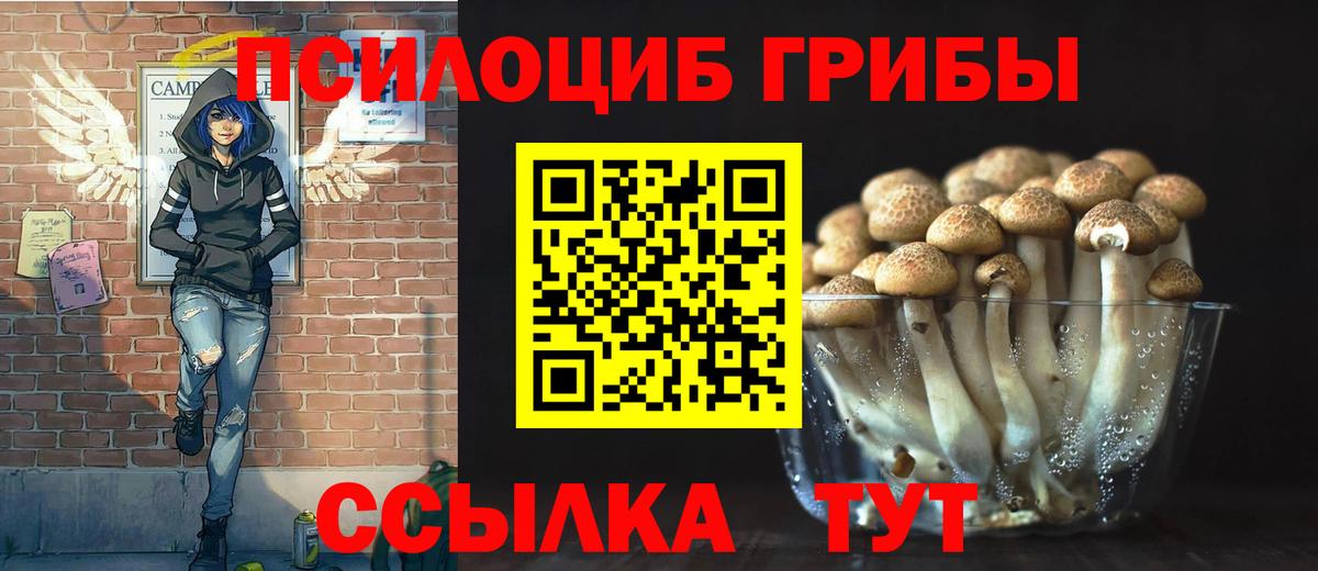 Галлюциногенные грибы мухоморы  Галлюциногенные грибы ЛСД  Миллерово  Вход с VPN 